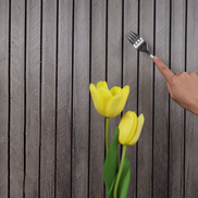 3D Akupanel Selbstklebend Holzlook – Stilvolle Wandgestaltung Leicht Gemacht 6