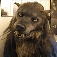 Werwolf Vollmaske für Halloween und Kostümpartys – Luphar