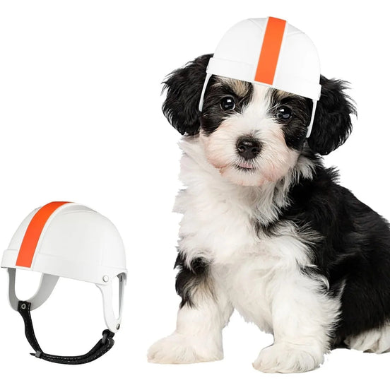Rovira Haustier-Helm mit verstellbarem Kinnriemen für kleine Hunde und Katzen