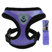 PawEase Mesh Harness Set – Verstellbares Katzen- und Kleintiergeschirr mit Leine