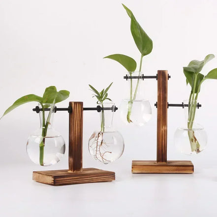 Floria Pflanzenterrarium – Glaskolben-Vase mit Holzständer