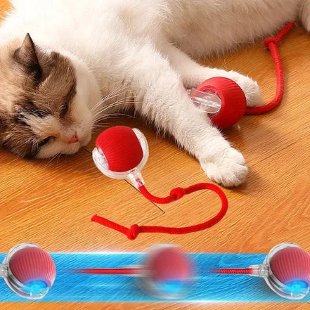 Interaktiver Katzen-Spielball – Weiches Plüschspielzeug für aktives Spielen