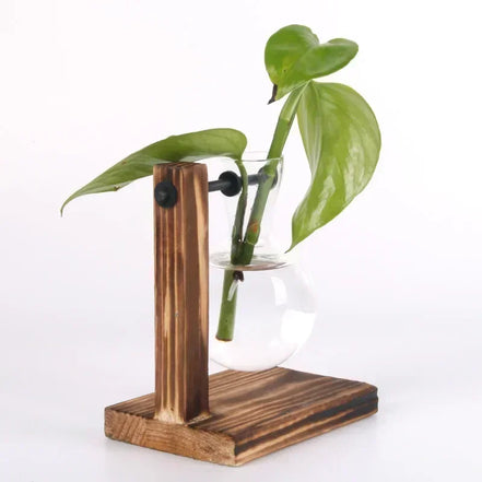 Floria Pflanzenterrarium – Glaskolben-Vase mit Holzständer