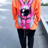 PetTrail Tier-Rucksack für den Transport von Haustieren
